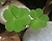 Hình đại diện của thành viên