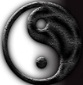 Hình đại diện của thành viên