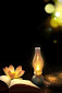 Hình đại diện của thành viên