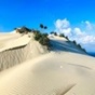 Hình đại diện của thành viên
